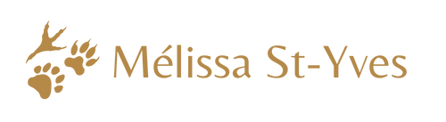 Logo de Mélissa St-Yves